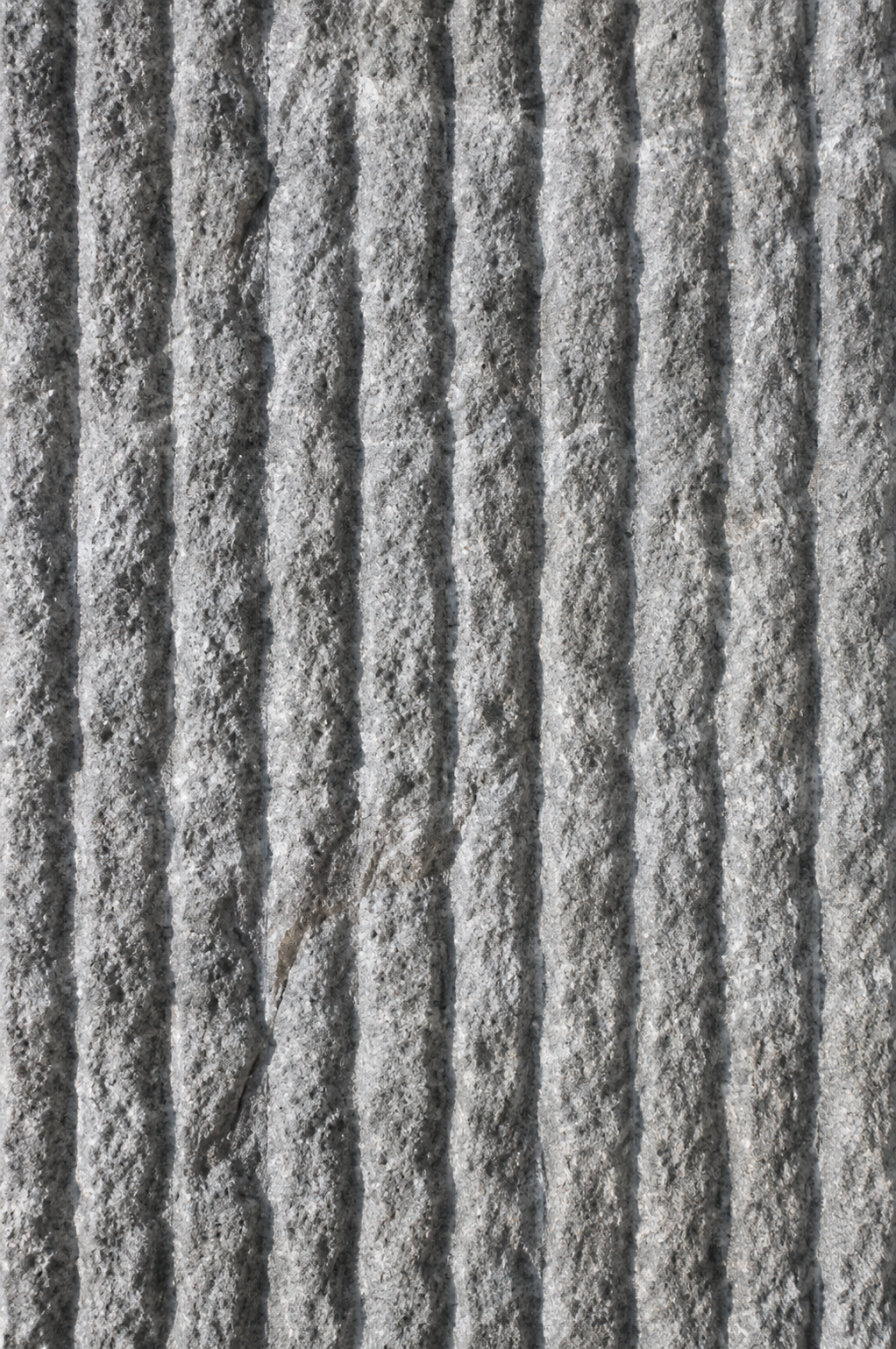 LS06